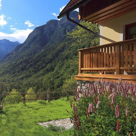 Zadnjica Holiday House โซชา ภายนอก รูปภาพ